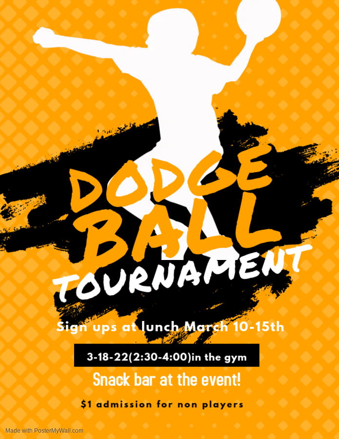 Dodgeball information flyer